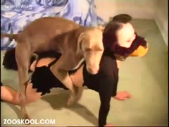 A dog drilled a masked slut.